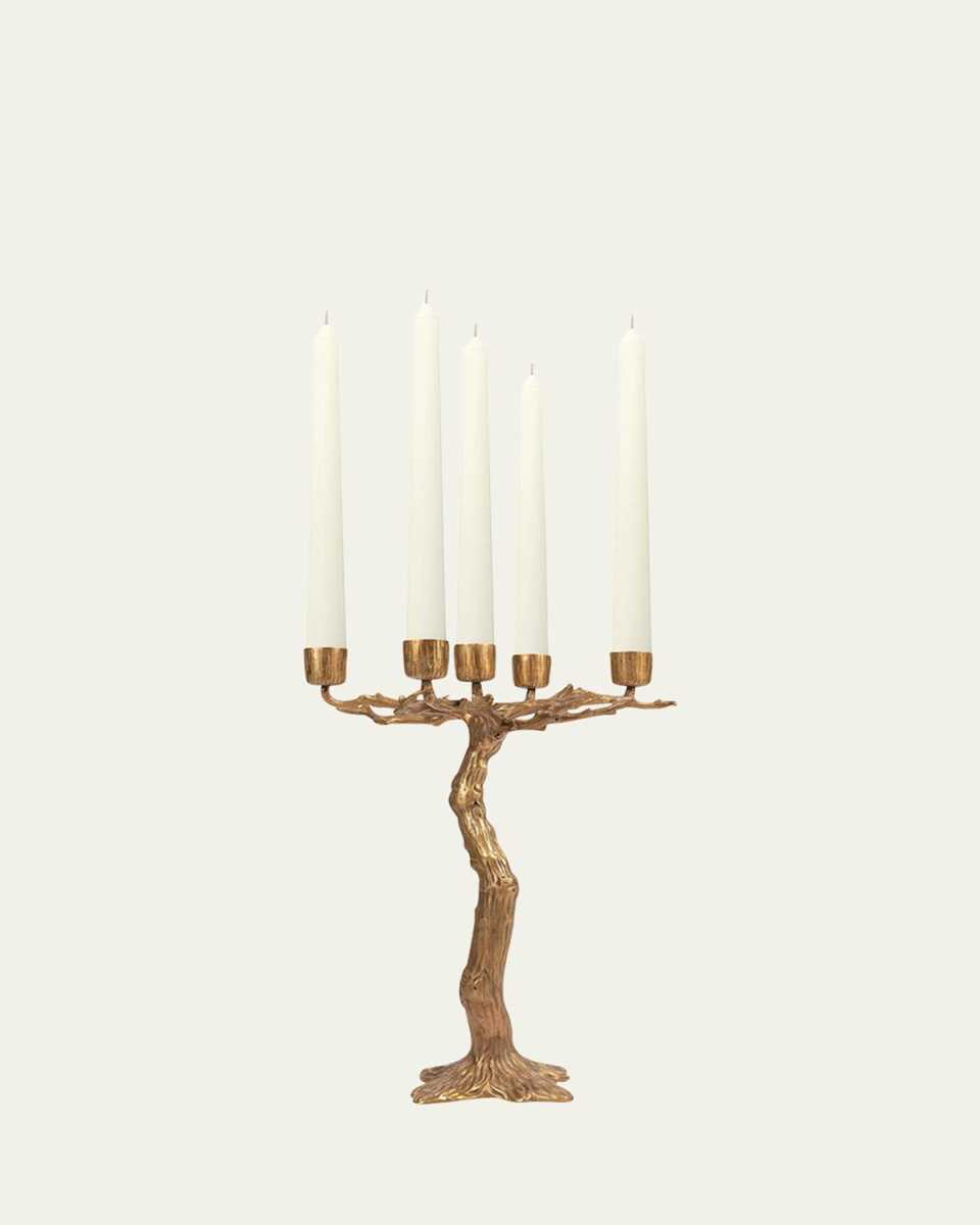 Quercus Candelabra